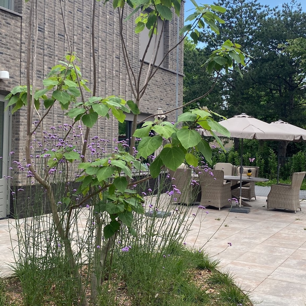 Zomer in Roosenburch - Kleinschalige woonzorg voor ouderen met een zorgvraag - Villa Roosenburch - Rozenburg