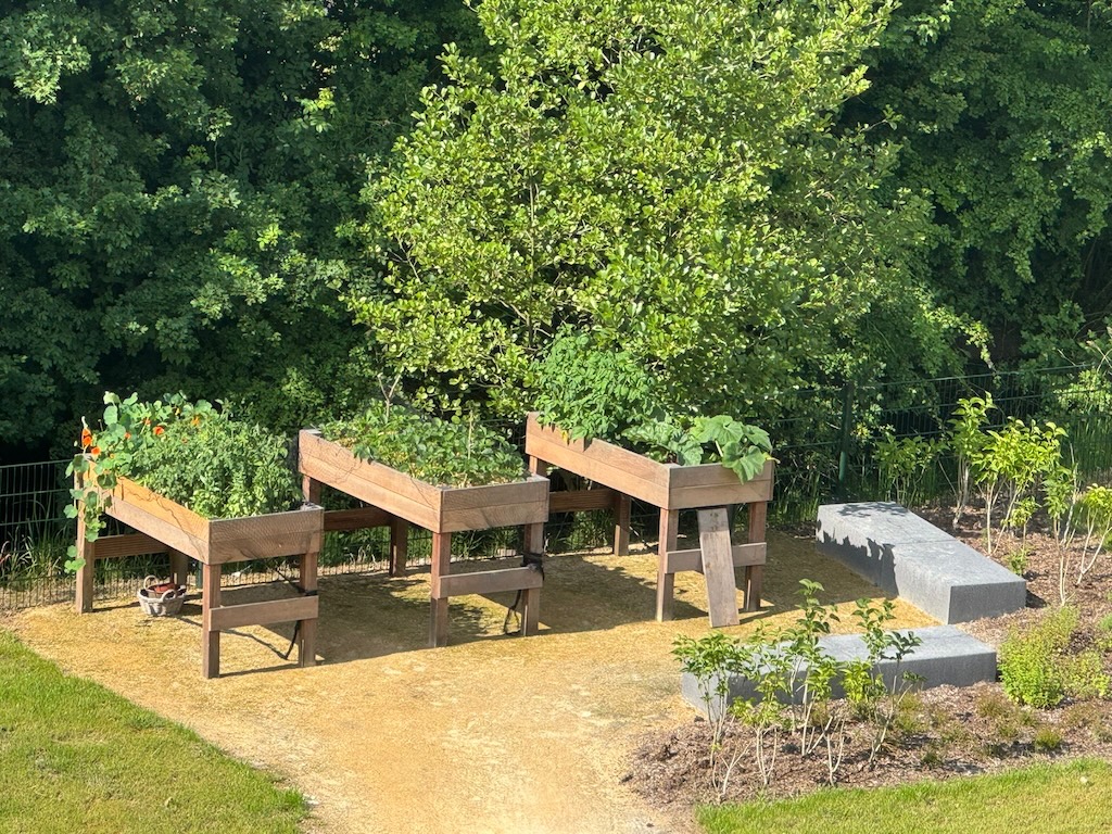 Groene vingers - Kleinschalige woonzorg voor ouderen met dementie - Villa de Zwette - Sneek