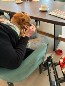De eerste bewoners - Villa de Maalderij - Kleinschalige woonzorg voor ouderen met dementie